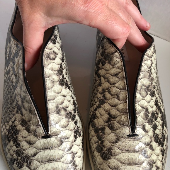 James chan pointy toe slip on Python sneakers - Picture 7 of 15